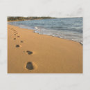 Search for beachfront postcards Vacation