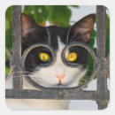 Search for spectacle stickers Cute