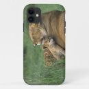Search for panthera leo iphone cases Lion