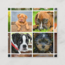 Search for customization photography Pet
