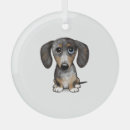 Search for pug christmas decor Wolf
