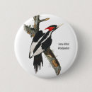 Search for ivory badges White