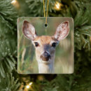 Search for whitetail deer christmas tree decorations Nature