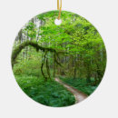 Search for olympic national park christmas tree decorations Nature