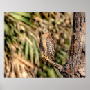 Search for shoulder posters Wildlife
