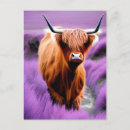 Search for highland cattle postcards Floral