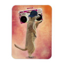 Search for meerkat magnets Animals