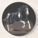 Search for portraits coasters Animal