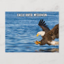 Search for flying eagle postcards Travel