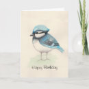 Search for bluejay Outdoors