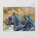 Search for percheron postcards Horse