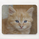 Search for red head mouse mats Ginger
