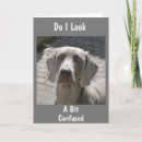 Search for retired veterinarian cards Co worker