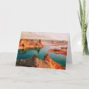 Search for arizonas cards Cactus