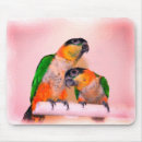 Search for cute parrot mouse mats Watercolor