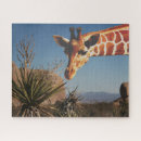 Search for joshua tree puzzles Nature