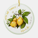 Search for fruit christmas tree decorations elegant