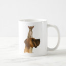 Search for great dane mugs Chihuahua