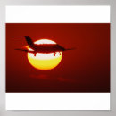 Search for cessna posters Sky