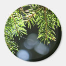 Search for needle magnets Tree