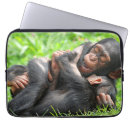Search for chimp electronics Primate