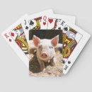 Search for baby pig playing cards Animal