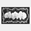 Search for white orchid stickers Elegant