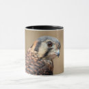 Search for kestrel mugs Animal