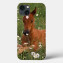 Search for seasons ipad cases Usa