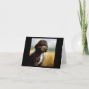 Search for portuguese water dog cards Pet