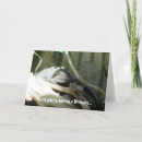 Search for funny iguana birthday cards Humour