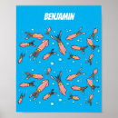 Search for squids posters Sea life