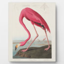 Search for john audubon postcards Antique