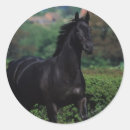 Search for thoroughbred stickers Equestrian