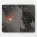 Search for fiery mouse mats Abstract