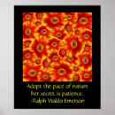 Search for orange gerbera art Flower