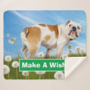Search for humour blankets Adorable
