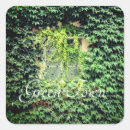 Search for case stickers Nature