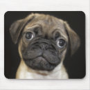 Search for black vertical standard mouse mats Sitting