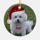 Search for bichon frise christmas tree decorations Santa
