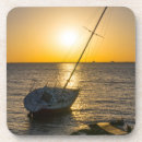 Search for gulf coasters Florida