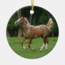 Search for appaloosa horse christmas tree decorations Bob langrish