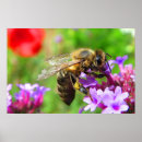 Search for api posters Bee