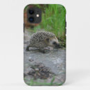 Search for hedgehogs iphone cases Nature