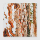 Search for oregon christmas cards Snow