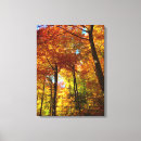 Search for autumn trees canvas prints Photography