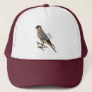 Search for prey hats Falcon