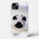 Search for pups cases Snow