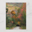 Search for country postcards Lane