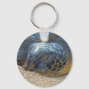 Search for hawaiian sea turtle key rings Honu
